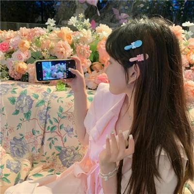 双珠凤
